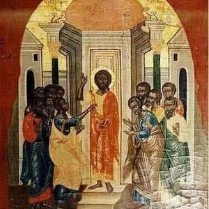 Meet your Posher, Brandon